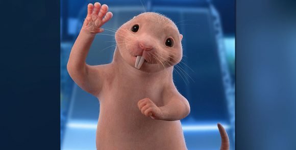 Voice Acting and Animation Bring Rufus to Life